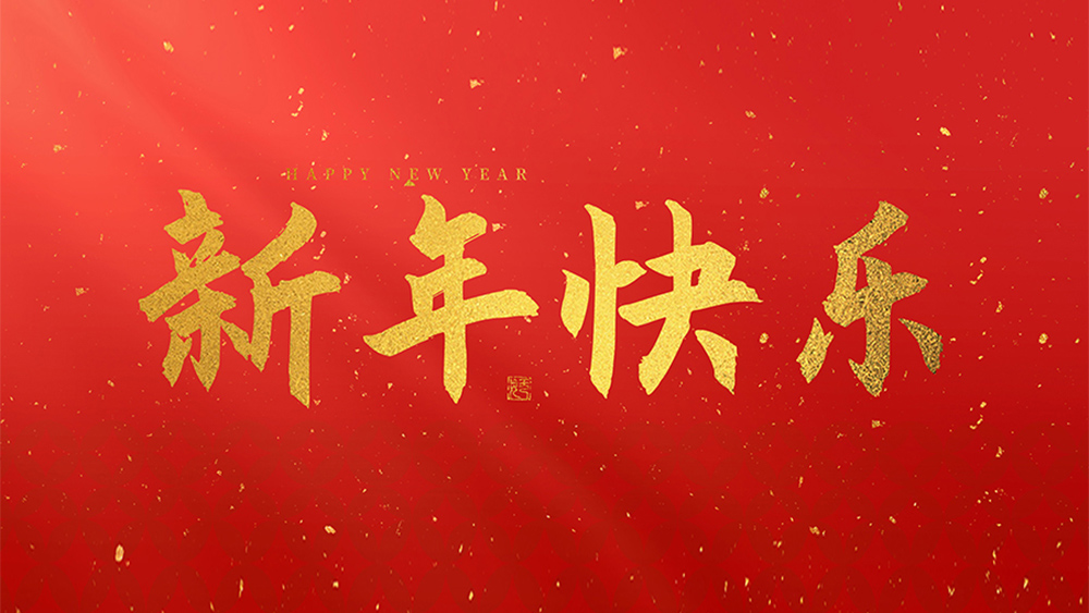 麗水市威儀自動化技術有限公司祝全國人民2025新年快樂！
